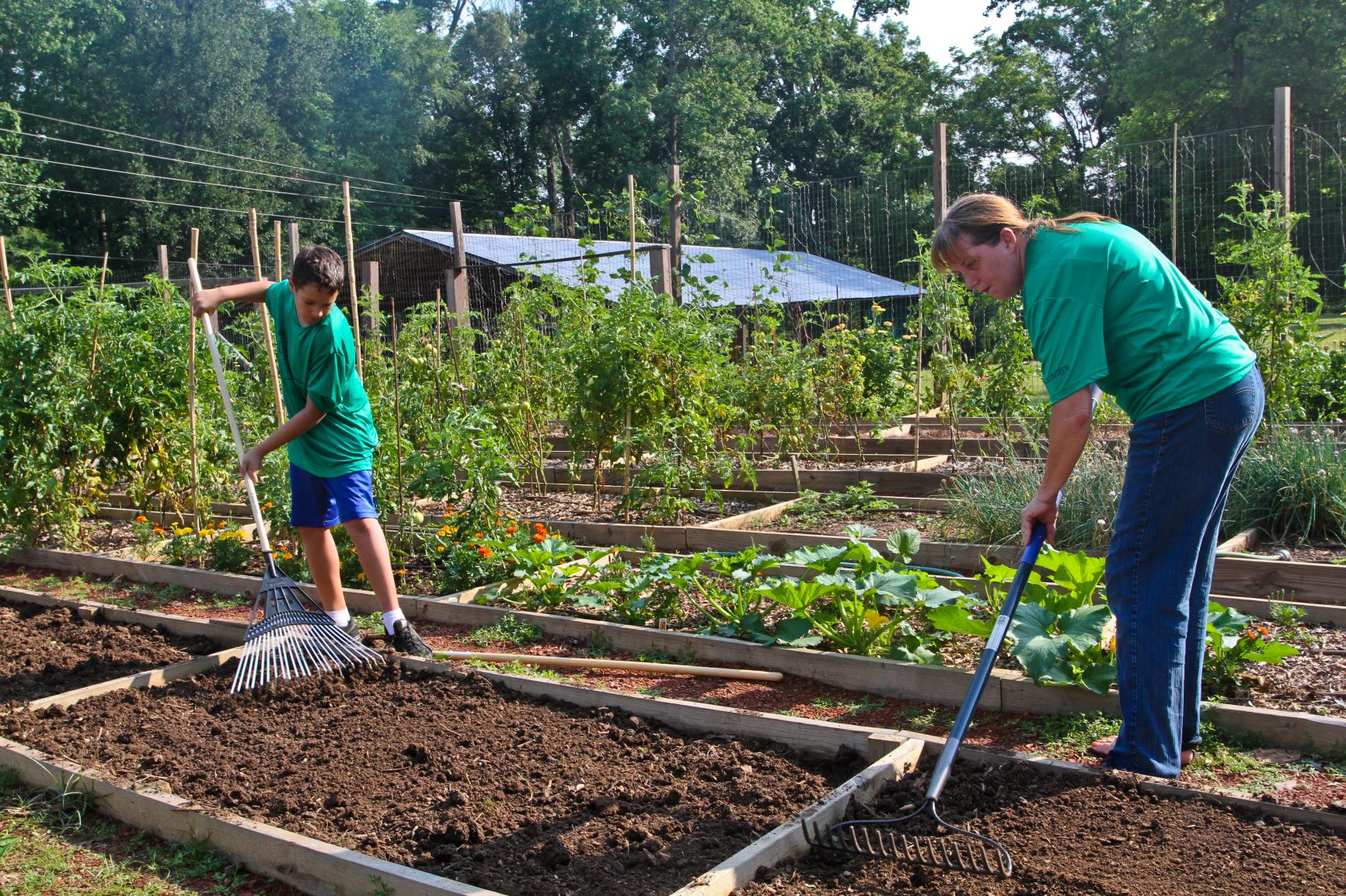 alt=Volunteers in the Betsy McLean Plant A Row for the Hungry Garden