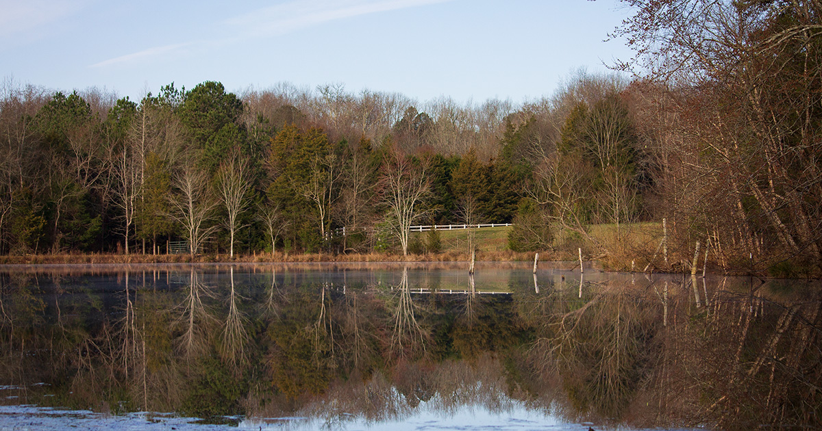 Lake Katherine at the Anne Springs Close Greenway