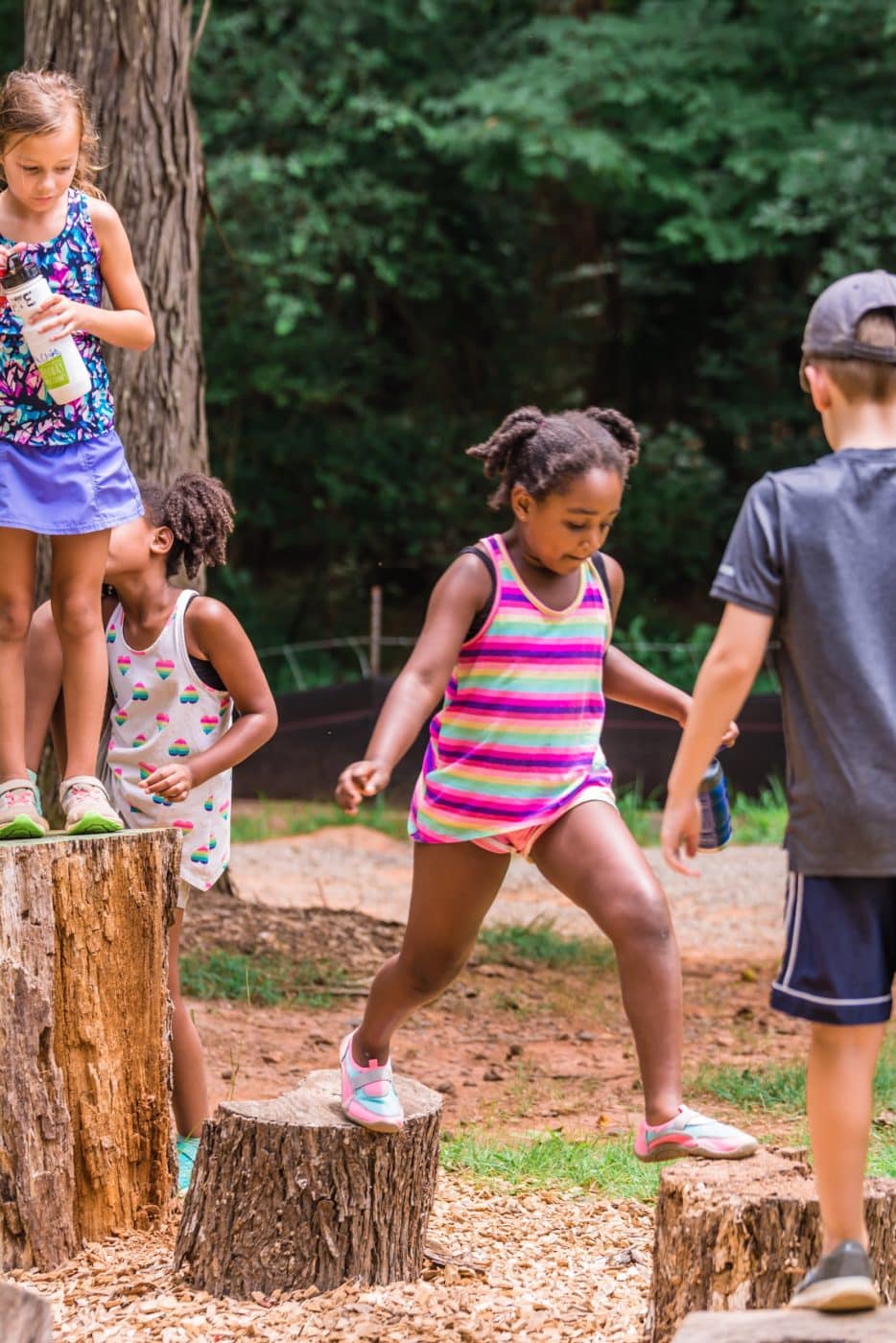 Photo of children walking across tree stumps at the Anne Springs Close Greenway