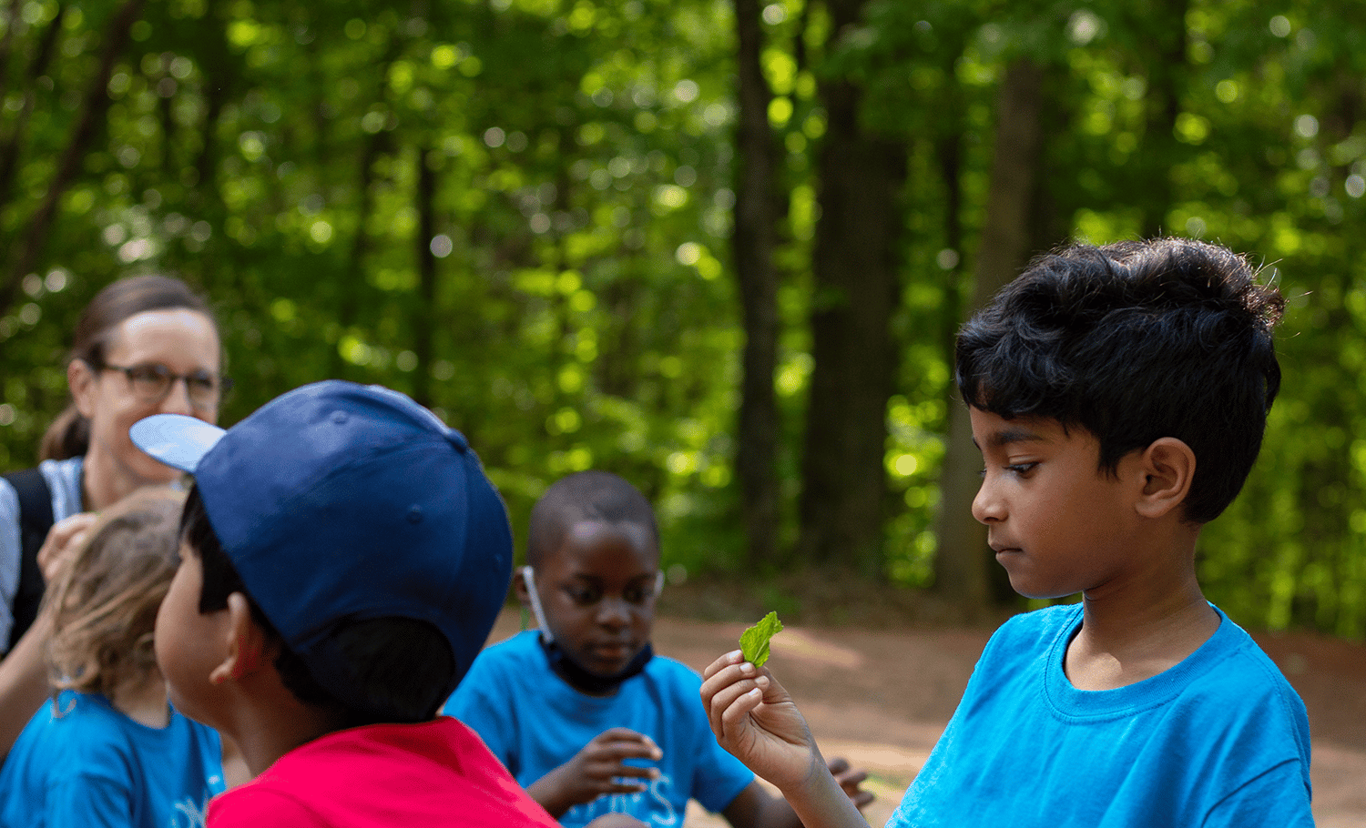 Field Trip At Anne Springs Close Greenway