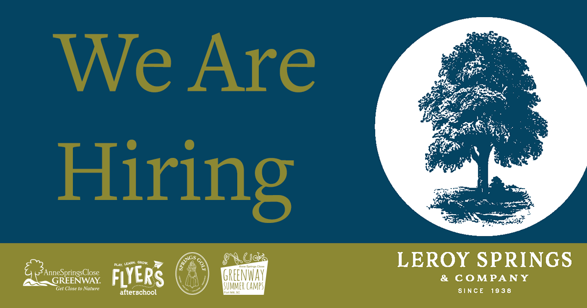 alt=Text reading "We Are Hiring"