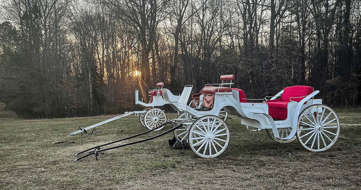 alt=Photo of carriages at the Anne Springs Close Greenway