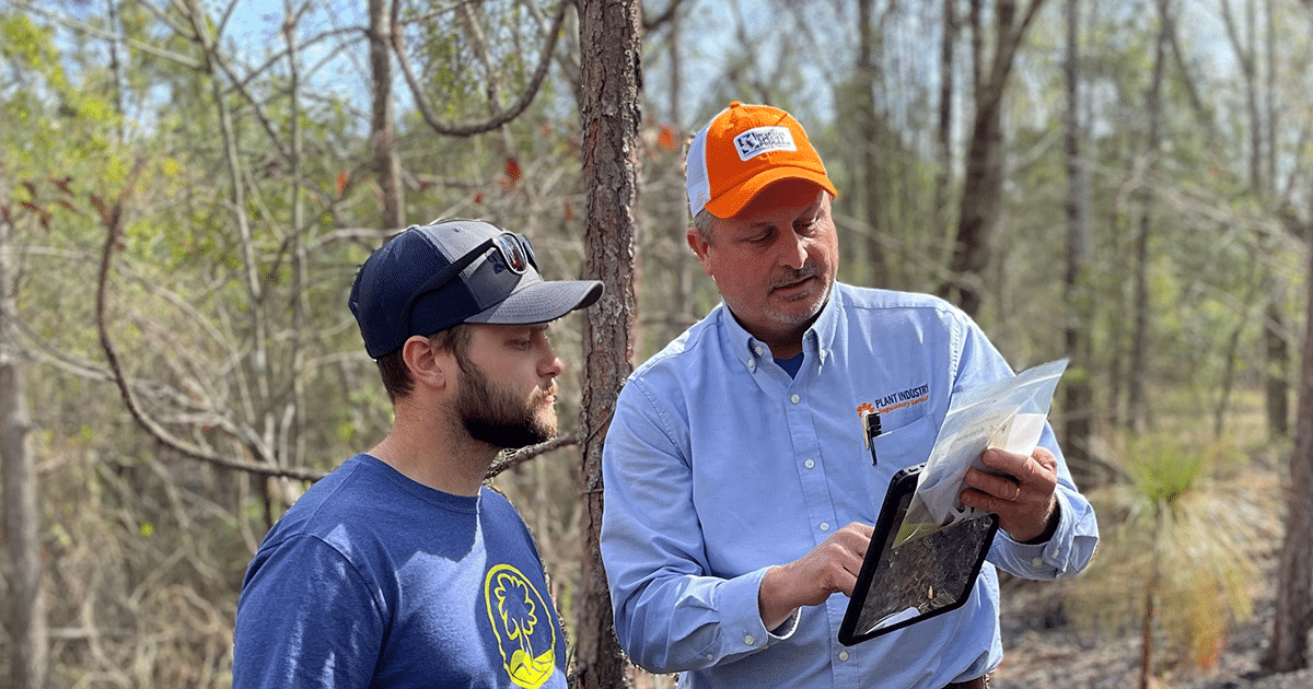 Clemson Cooperative Extension students examining invasive species at the Anne Springs Close Greenway