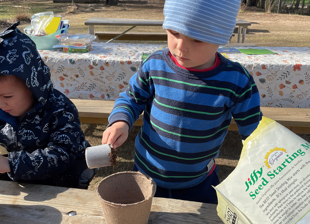 alt=Photo of preschool boy potting a plant at the Anne Springs Close Greenway