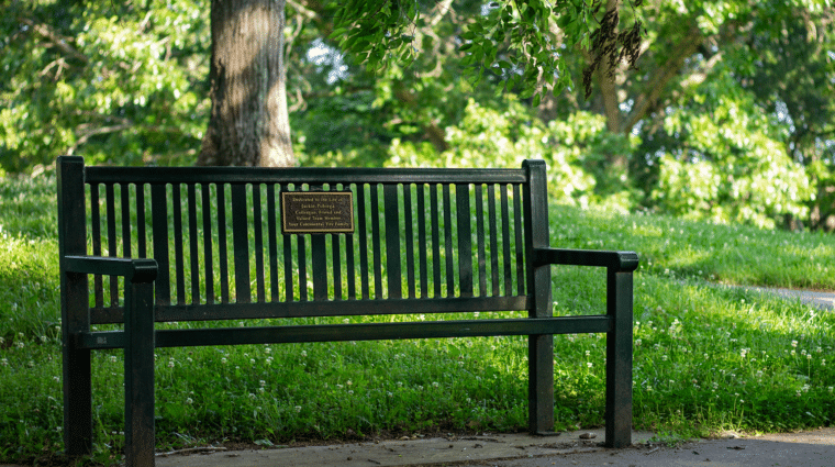 Memory Bench at the Anne Springs Close Greenway