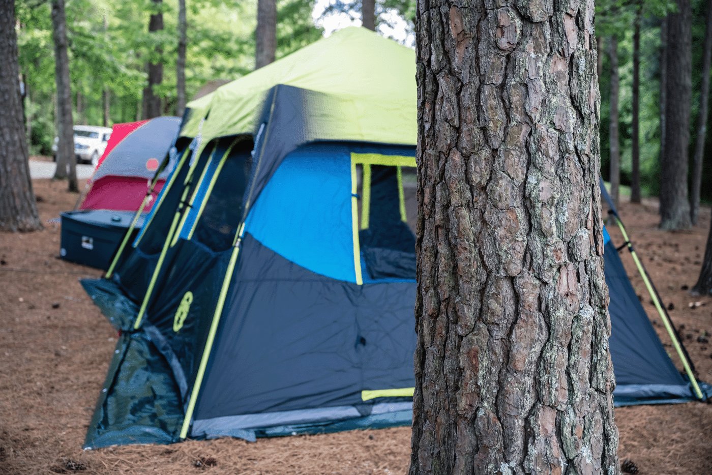 A line of tents are set up at the Anne Springs Close Greenway in preparation for a group campout
