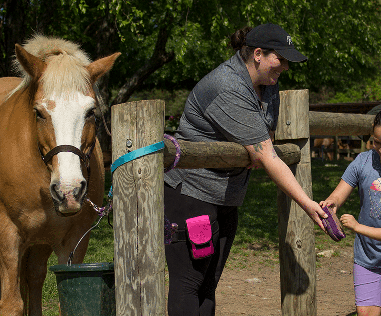 equestrian staff at the anne springs close greenway show children how to groom a horse kids