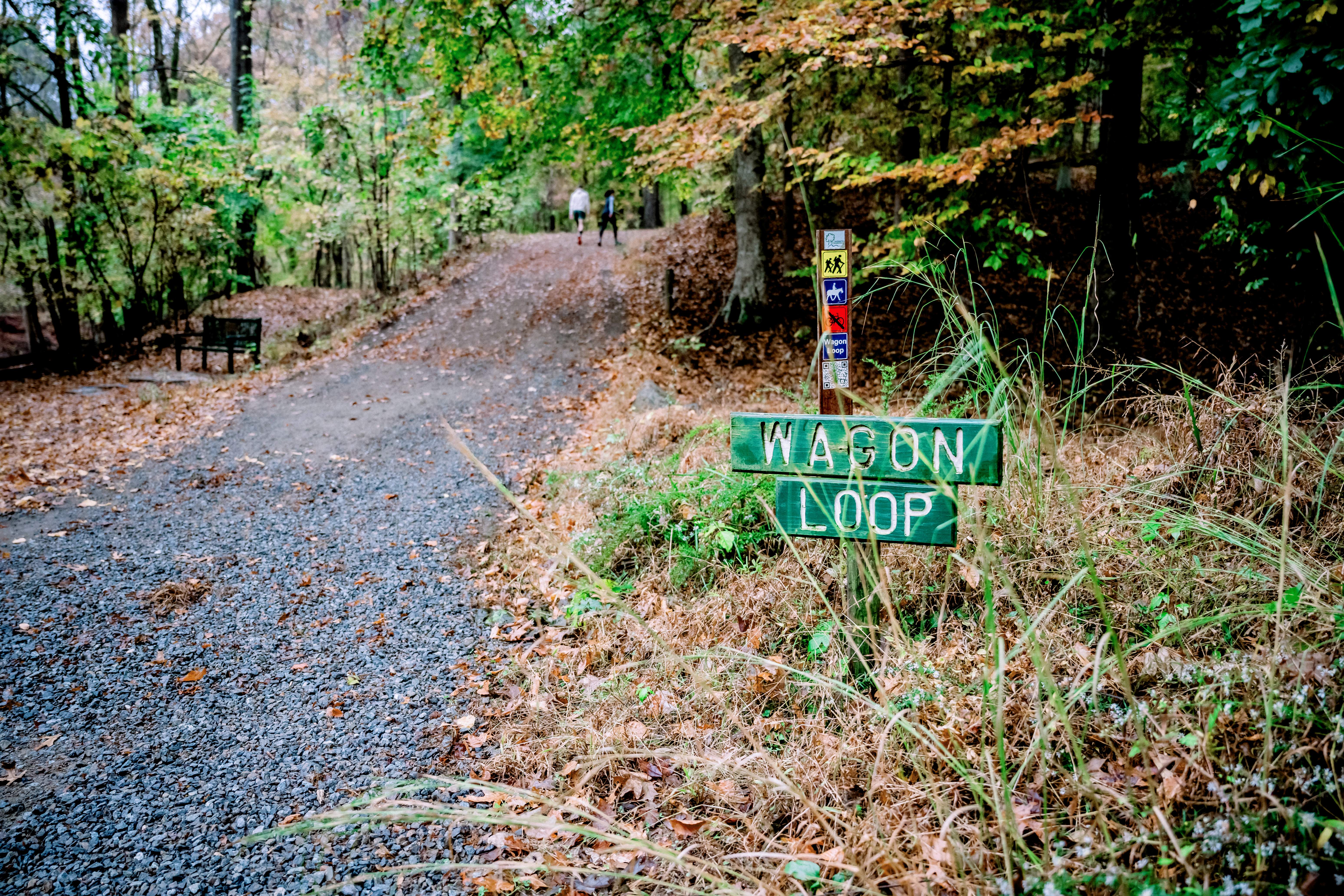65ASCGreenwayTrailWalking2024 CarissaRogersPhotography 65ASCGreenwayTrailWalking2024 CarissaRogersPhotography