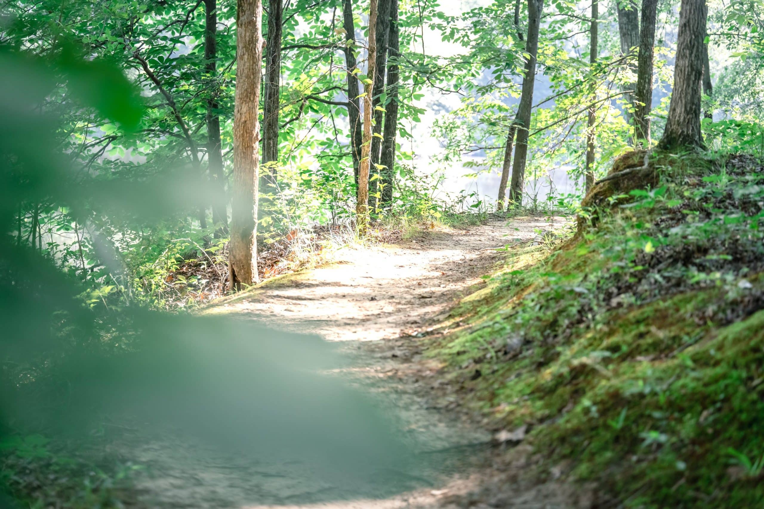 Trail Trail