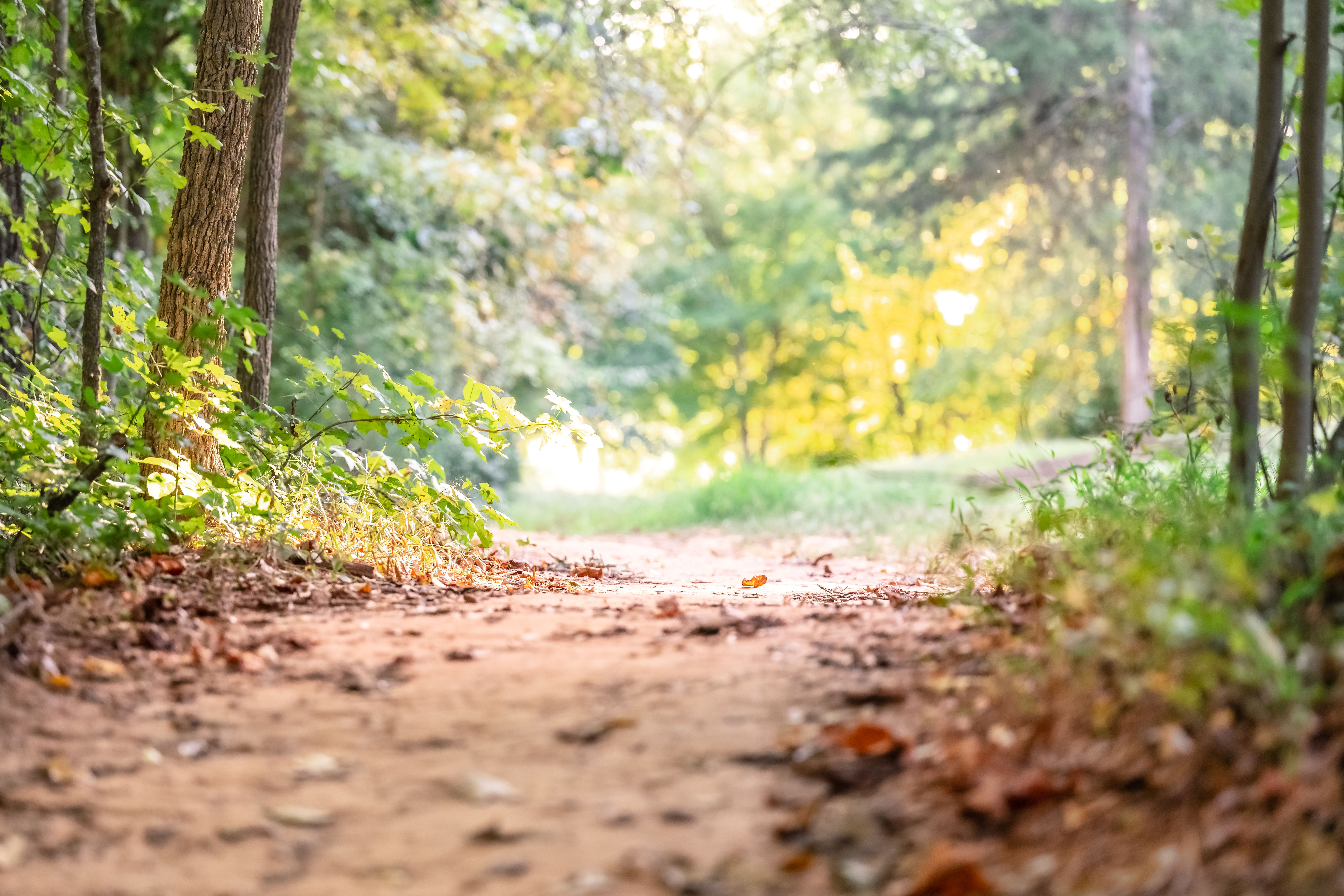 ASCGreenwaySept22fallcarissarogersphotography 2