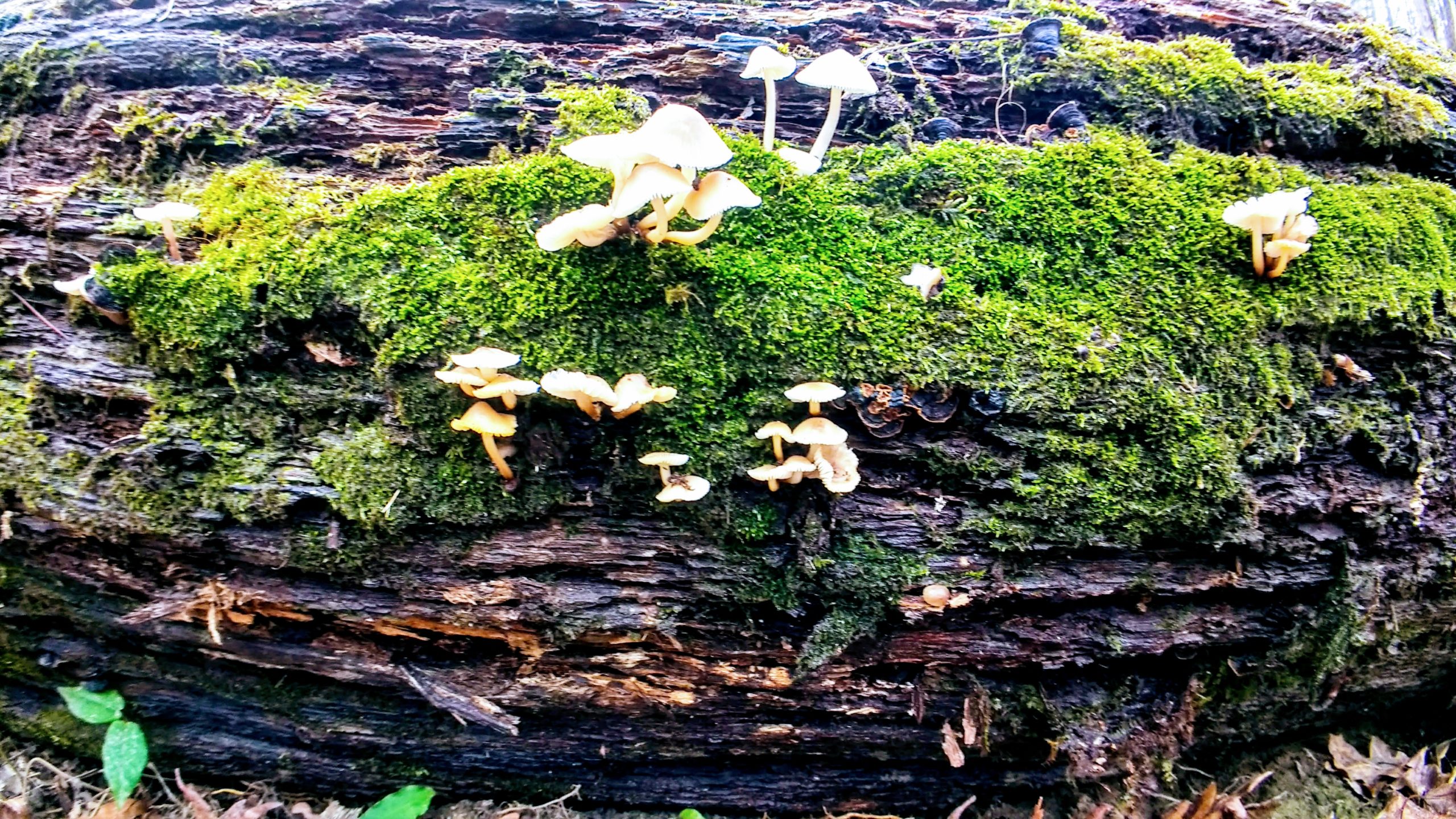 IMG 20170111 144902730 HDR