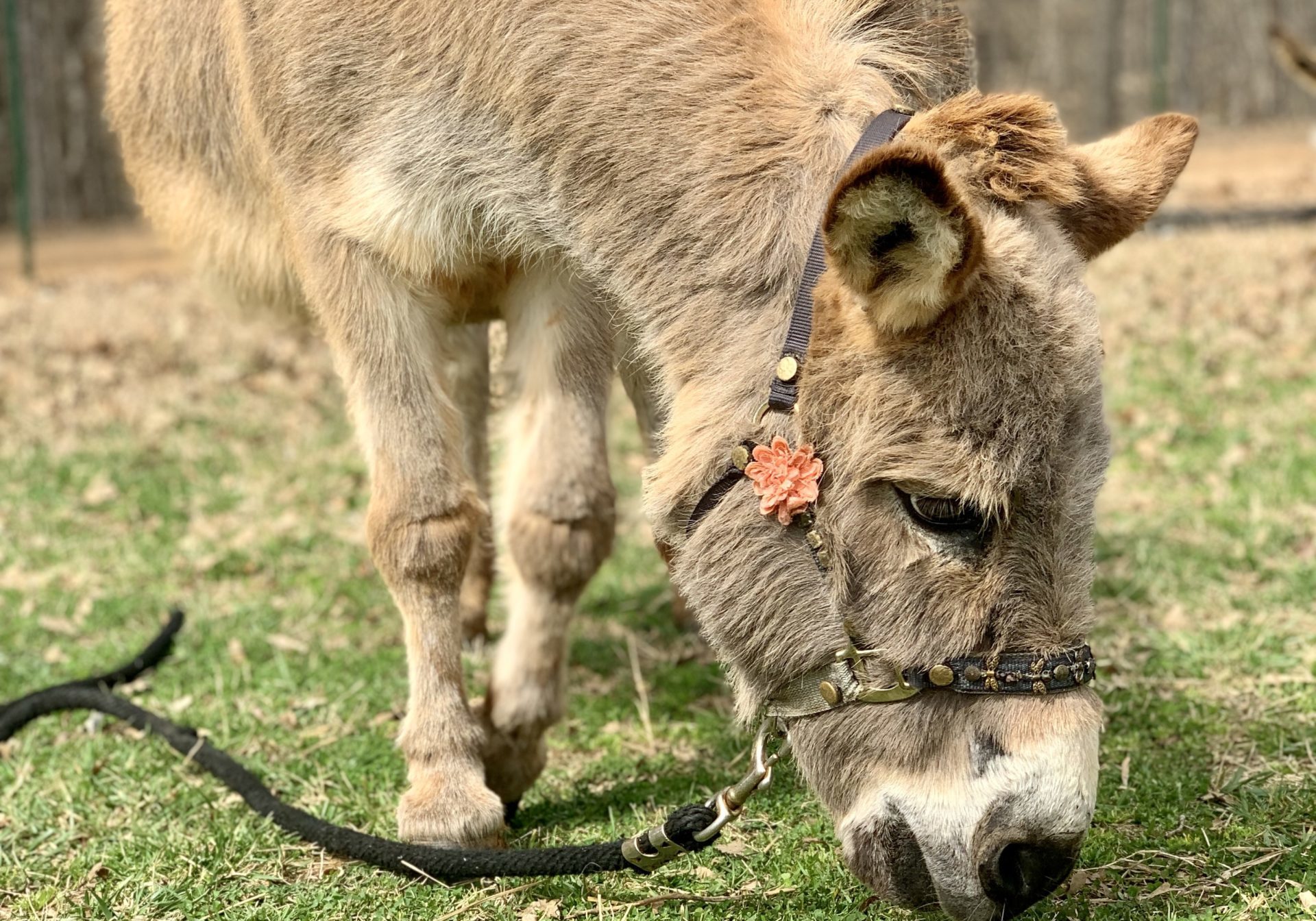 20240305 175412865 IOS