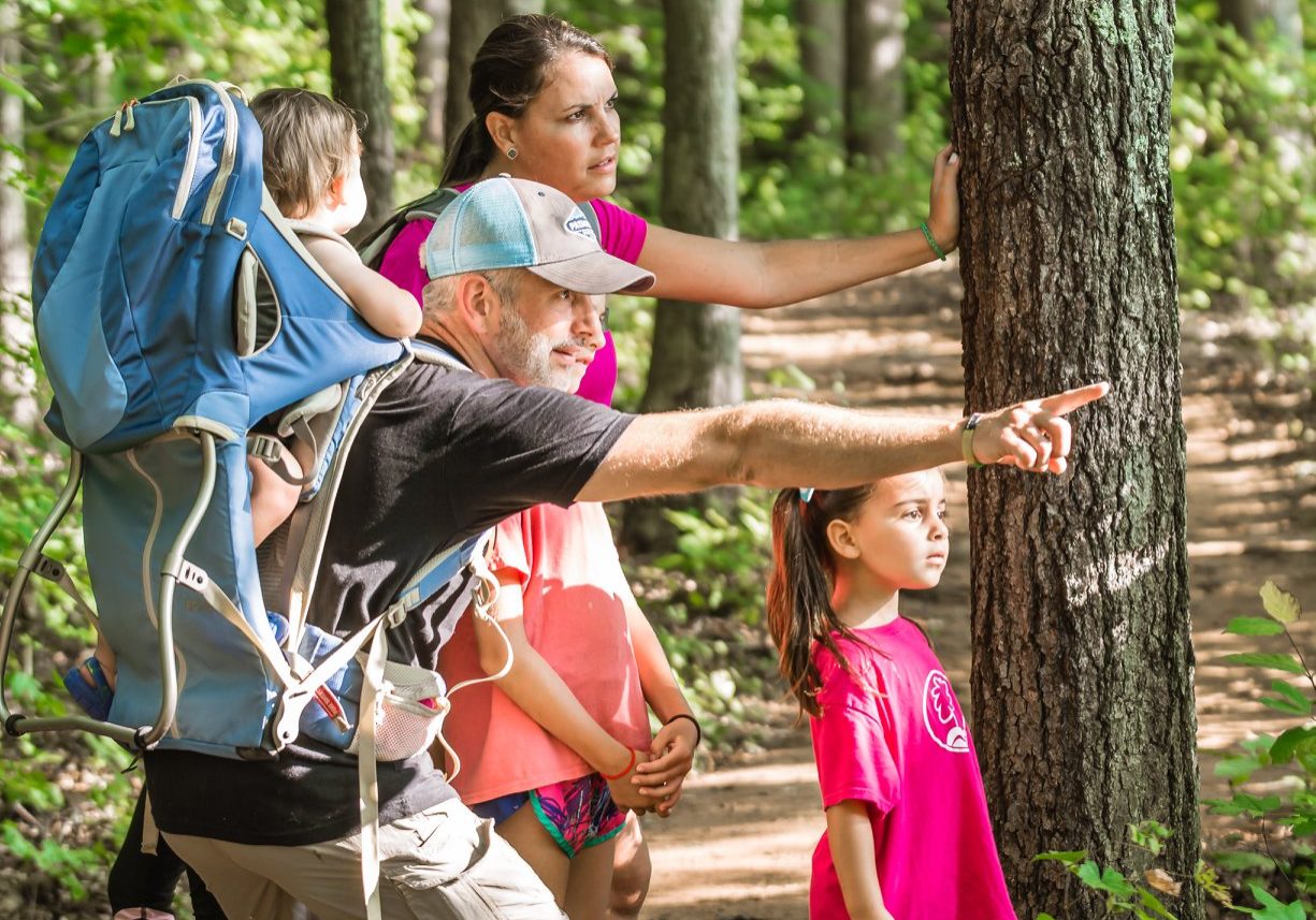 Family pointing at something in the woods