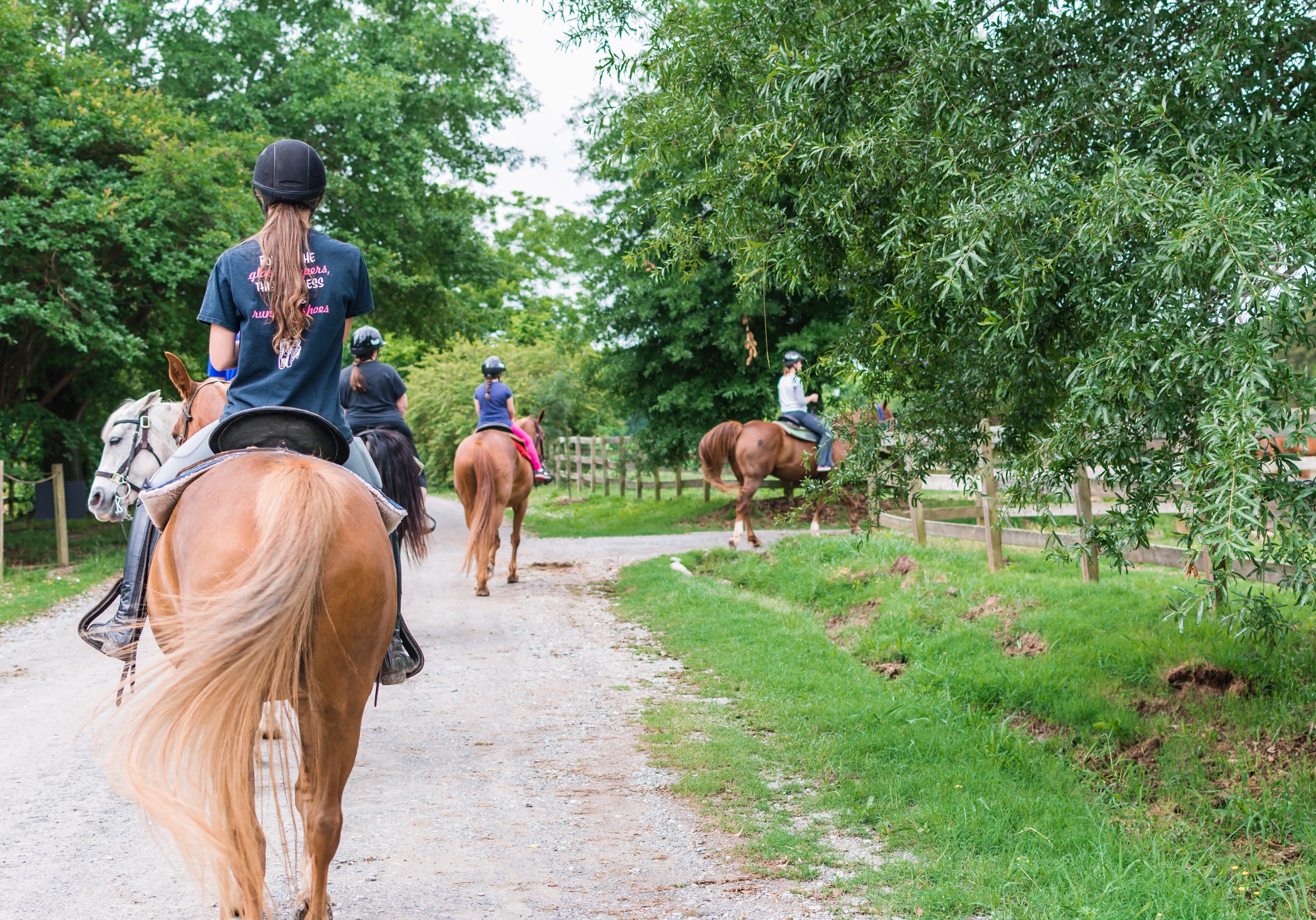 Guided Trail Rides Cancelled Anne Springs Close Greenway