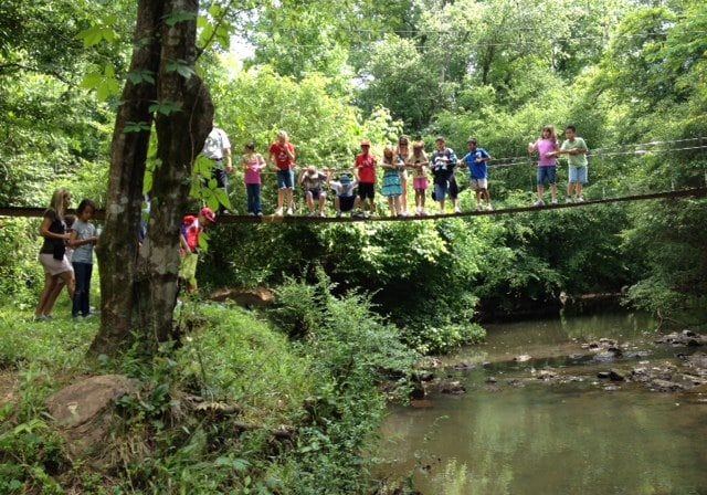 Photo of children overlooking Steele Creek on Anne Springs Close Greenway's Swinging Bridge