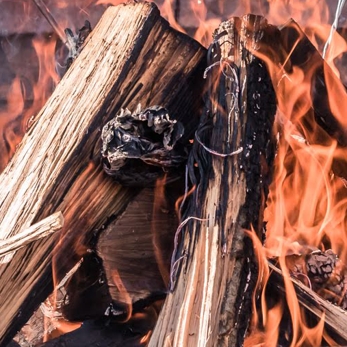Photo of fire burning at the Anne Springs Close Greenway
