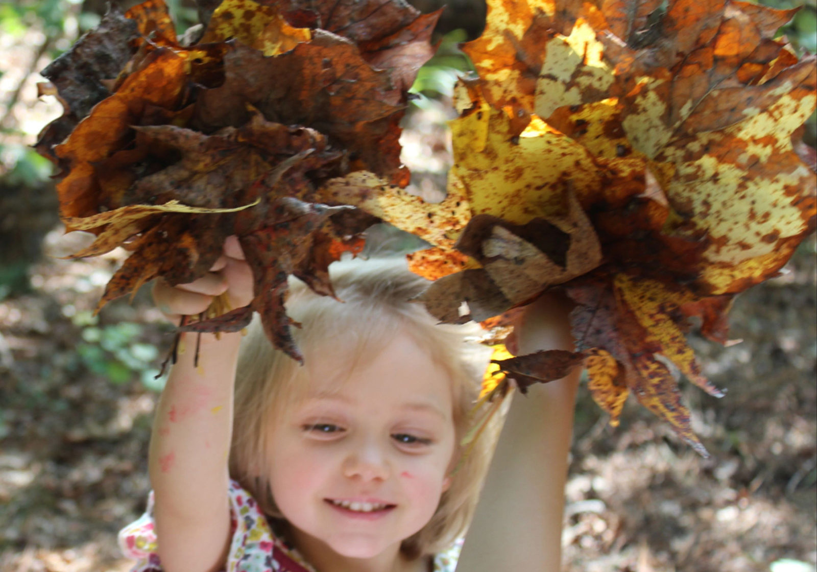 Outdoor preschool fun
