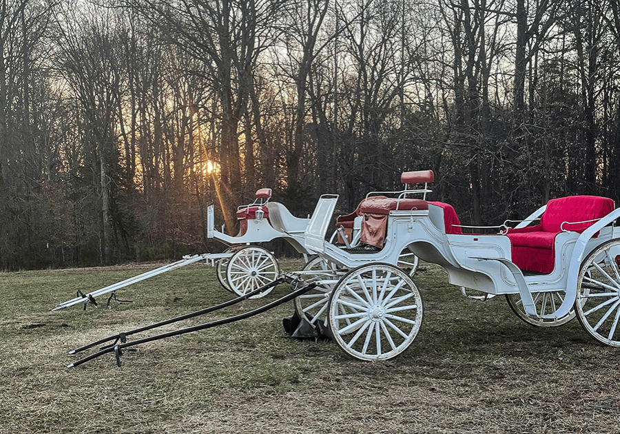 alt=Photo of carriages at the Anne Springs Close Greenway